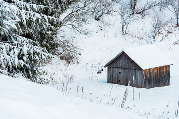 Aged wooden house in snowy mountains near trees