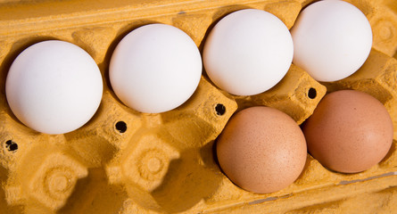 grupo de 6 huevos, presentados en su caja de cartón