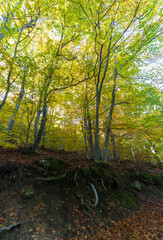 Autumn in the Natural Park of Moncayo is a protected area located in the province of Zaragoza.