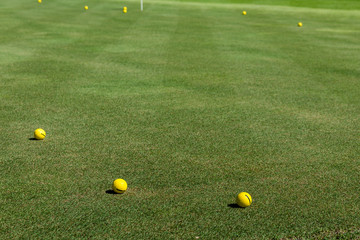 Yellow golf balls lies on the grass