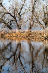 Die Waldnaab nach einer Frostnacht im Januar