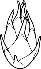 Coloring page with pitahaya or dragon fruit isolated on white background