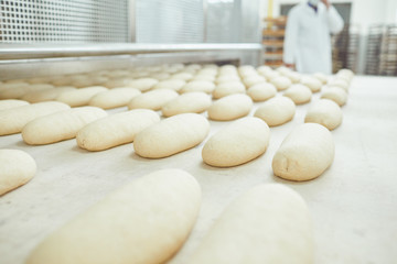 Raw bread is making on the automatic equipment line in the bakery.
