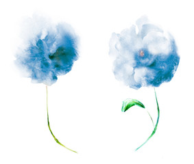 Obraz premium Watercolor flowers , isolated on white background