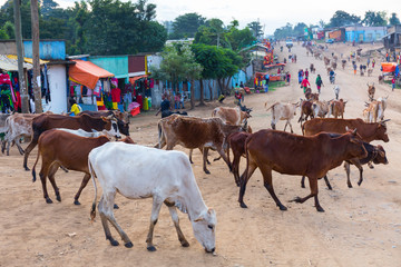 Jinka town, Naciones, Ethiopia, Africa