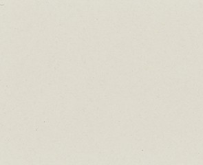 white paper texture background
