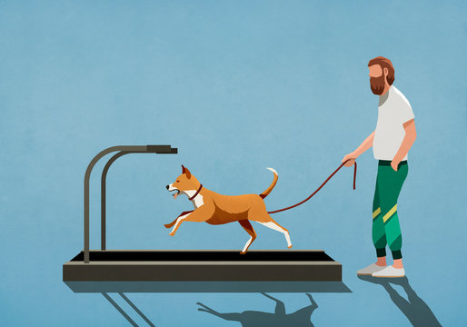 Man with leash watching dog running on treadmill