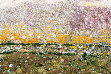 Detail of a wall with damp