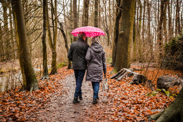 Senior couple walking in autumn forest with pink umbrella