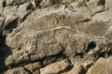 Stones with fossil prints. Beautiful stone texture in nature. Natural background