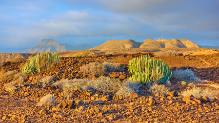 Desert and mountains at sundown inTenerife - Landscape