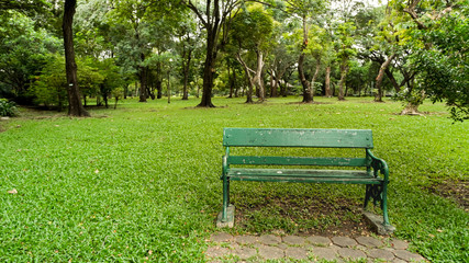 Bench chair in the park. Feeling alone but relaxing.