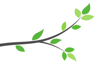 Silhouette of a branch with green leaves. Young tree. Spring background concept. © flexelf