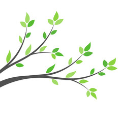 Silhouette of a branch with green leaves. Young tree. Spring background concept.