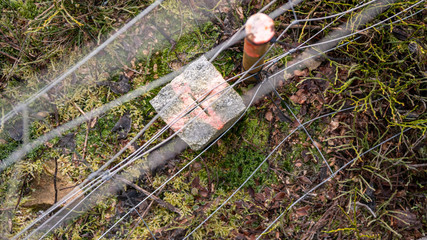 Grenzstein am Maschendrahtzaun