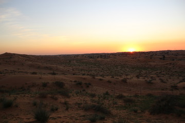 sunset in desert with sand dunes, rare green grass, pink and blue sky