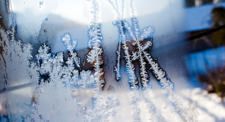 frozen ice crystals on the window