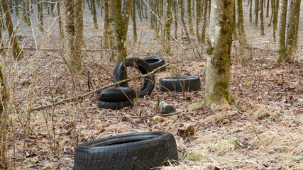 Umweltverschmutzung, Reifen, Wald, Winter, respektlos, frech,
