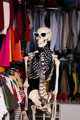 Artificial human skeleton model among clothes in wardrobe