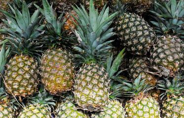 Obraz premium Pineapple