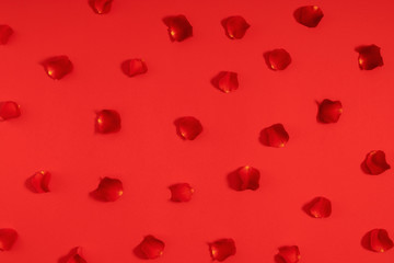 Valentine's Day background. Beautiful rose petals on red background. Valentine day concept. Flat lay, top view, copy space