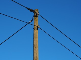 Elektrizität - Strommast versorgt Haushalte mit Energie	