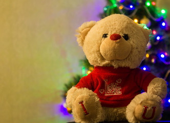 teddy bear with gift