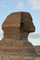Fototapeta na wymiar Head of Sphinx in Giza pyramid complex also called the Giza Necropolis