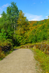 Fototapeta na wymiar Footpath and fall foliage colors, in Mont Tremblant National Park