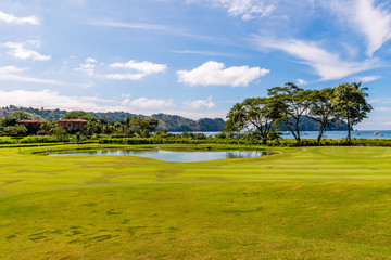 Landscape at the golf course. Tropical zone