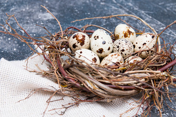 Obraz premium quail eggs in a nest on a black background copy space