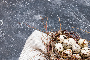 quail eggs in a nest of twigs with bay leaf on a dark background copy space