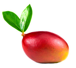 .mango with leaves on a white background