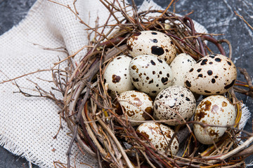 Obraz premium quail eggs in a nest of twigs with bay leaf on a dark background copy space.