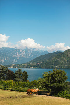 Coastal view