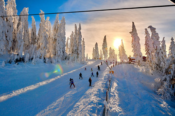 Poiana Brasov, Romania -16 January 2019: Skiers and snowboarders enjoy the ski slopes whit forest...