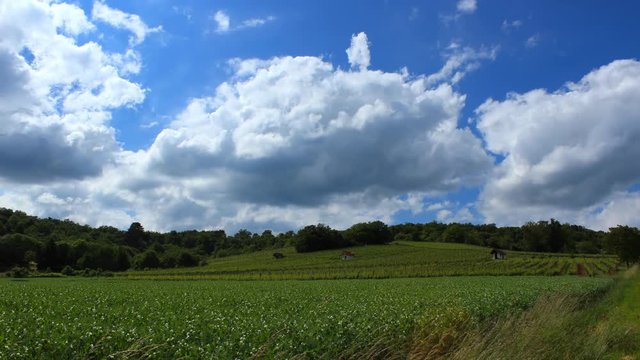 time lapse clouds over vineyard