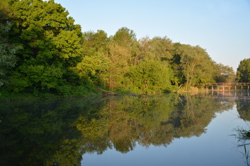 Fototapeta na wymiar Trees over the lake