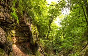 waterfall in forest