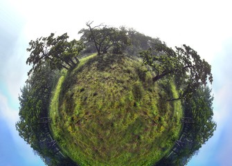 planet with trees