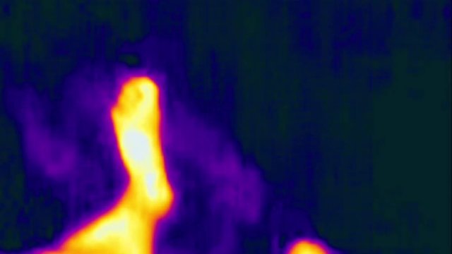 Infrared Thermal Footprints On Floor Of Man Walking Forward Then Backwards In Room
