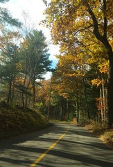 fall road