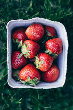 Strawberries in box