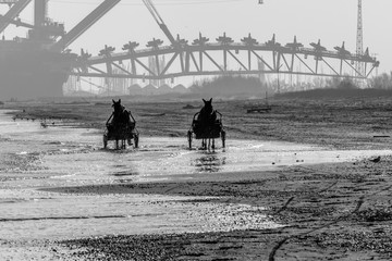 Riserva Naturale di Porto Corsini, Ravenna