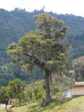 unterwegs in Venezuela