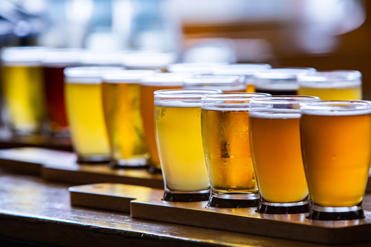 Flight of craft four of different beers glasses on wooden Tray during a tasting session close up selective focus with copy space, alcohol cold drink