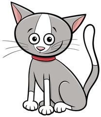 funny cat or kitten cartoon animal character