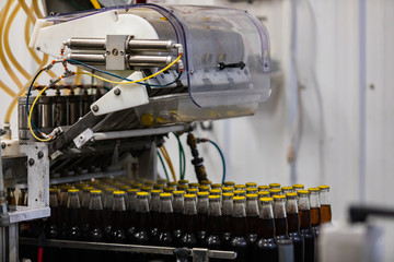 Dark beer glass bottles with yellow cap, capping bottle machine, conveyor belt line, Craft brewery factory microbrewery bottling