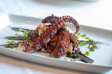 Octopus dinner plate