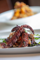 Octopus dinner plate